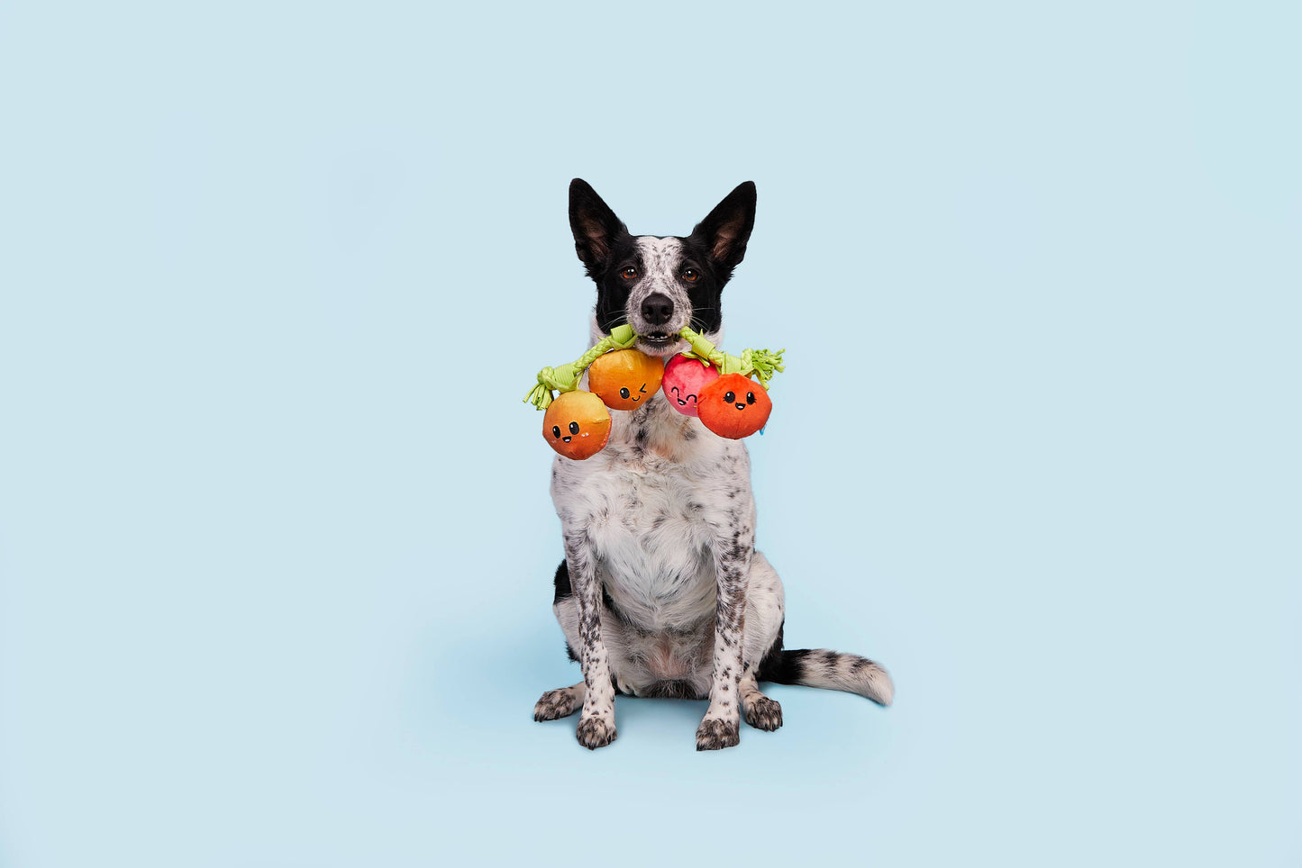 Hairloom Tomato Vine Dog Toy – Squeaky Plush with T-Shirt Rope for Tug