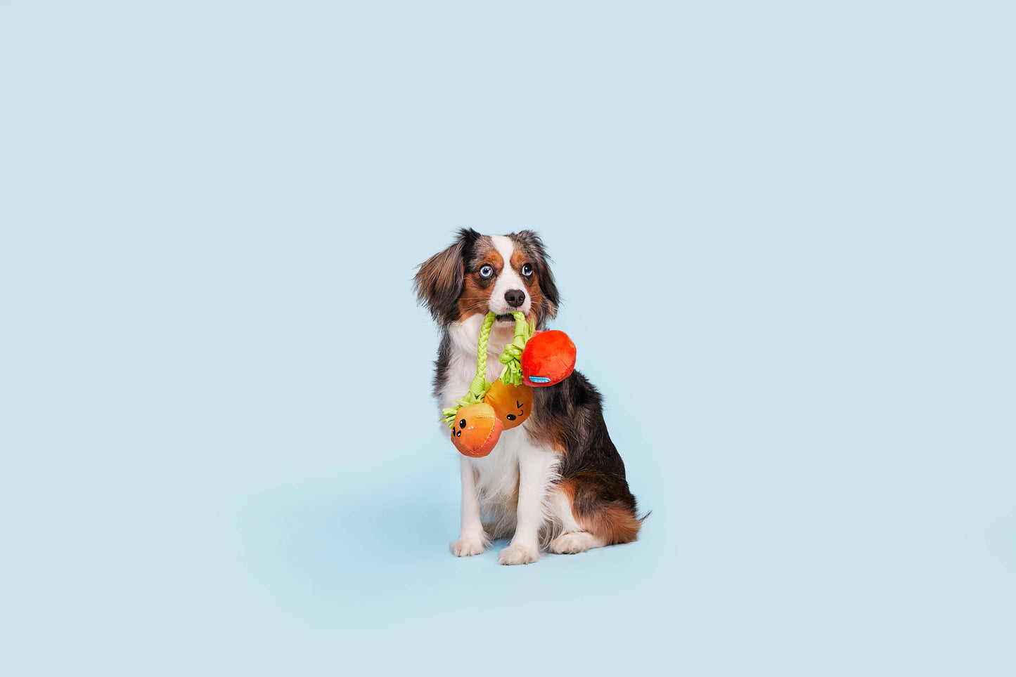 Hairloom Tomato Vine Dog Toy – Squeaky Plush with T-Shirt Rope for Tug