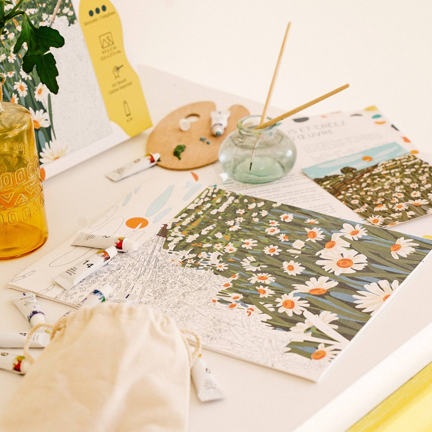 Blooming Daisies – Wildflower Meadow Paint by Number Kit