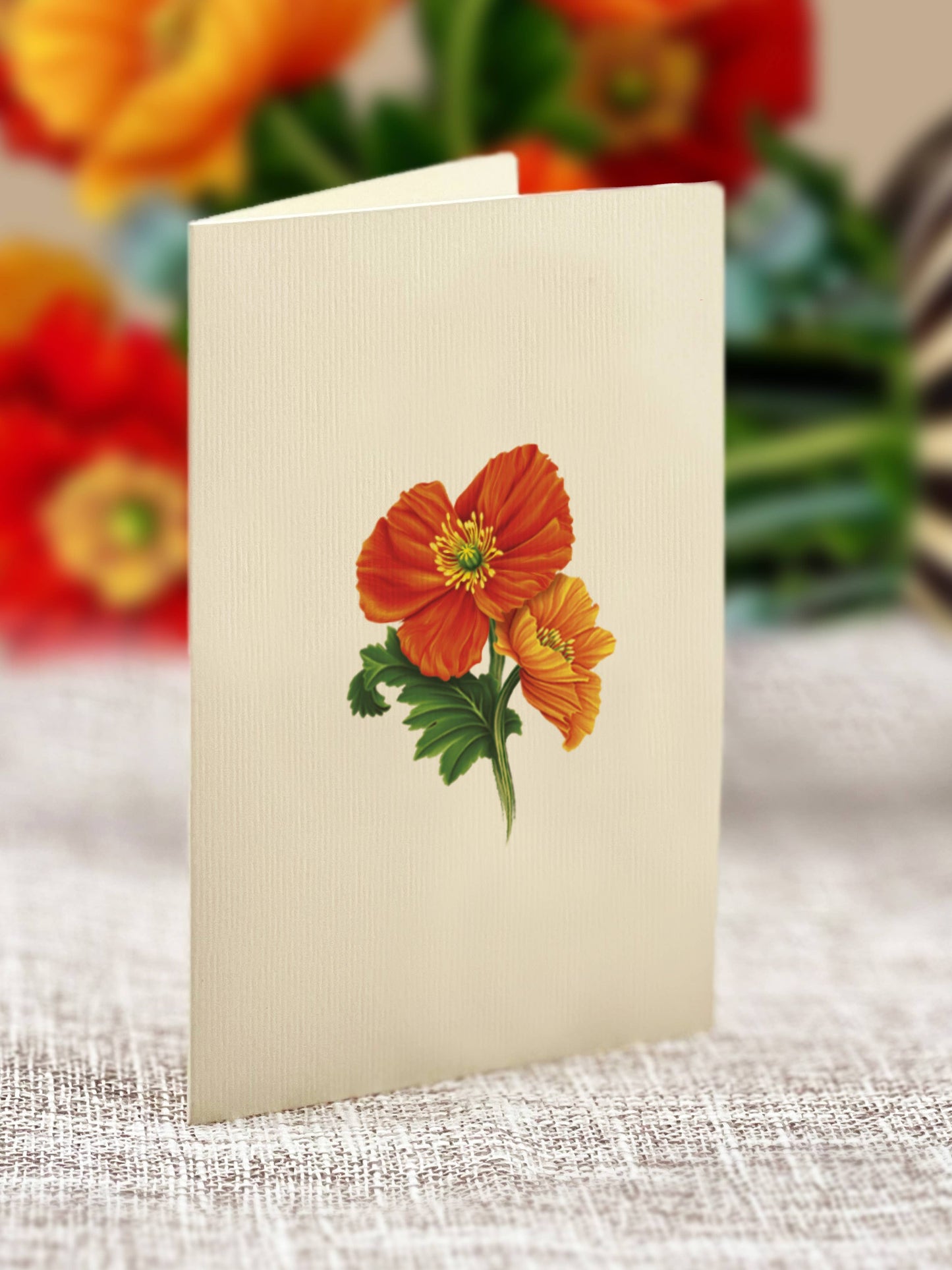 Mini French Poppies (10 Pop-up Greeting Cards)