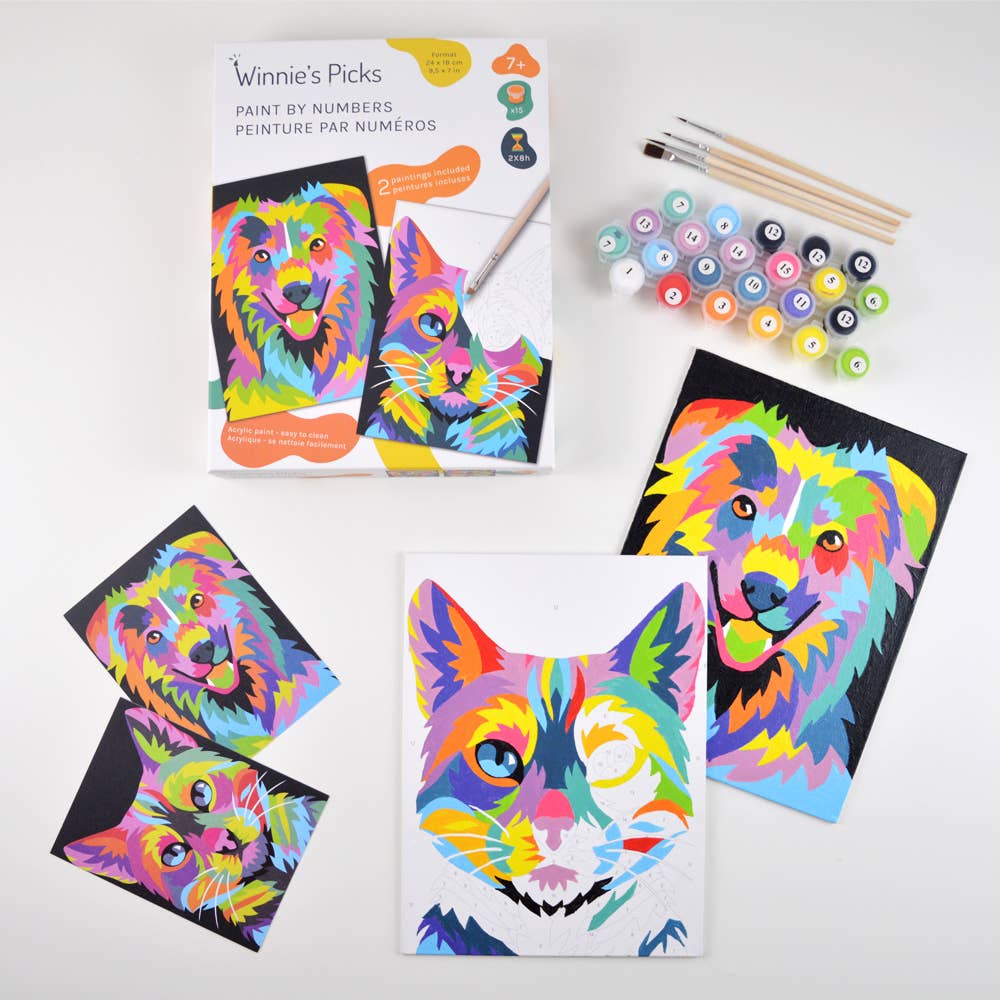 Colorful Cat & Dog Duo – Kids Paint by Number Kit (Ages 7+)