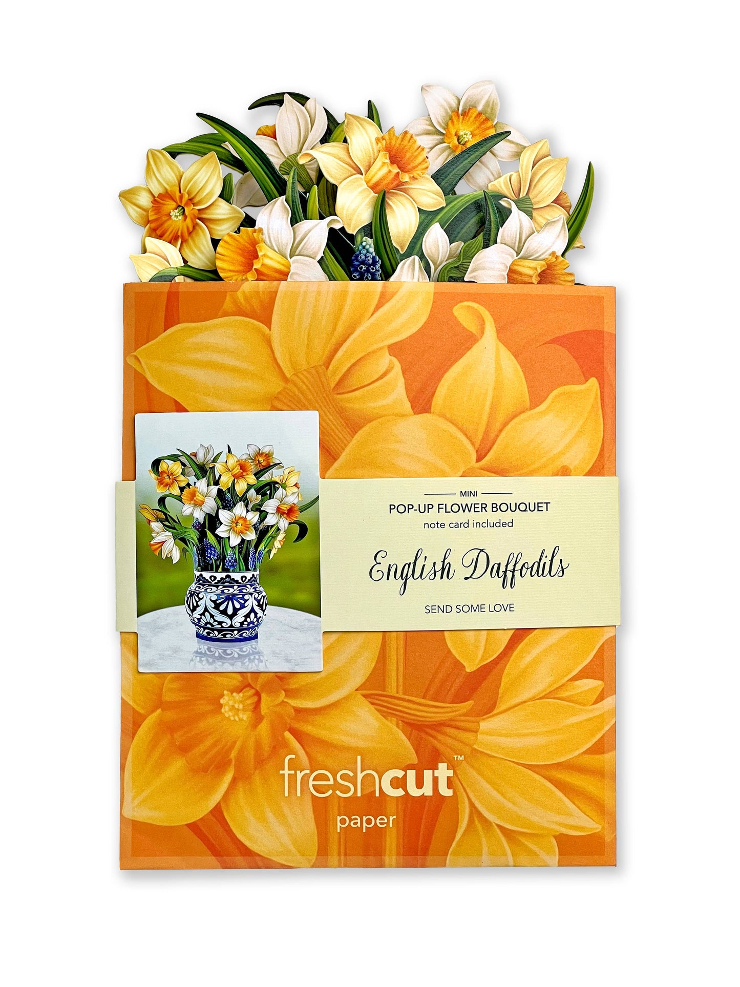 Mini English Daffodils (10 Pop-up Greeting Cards)