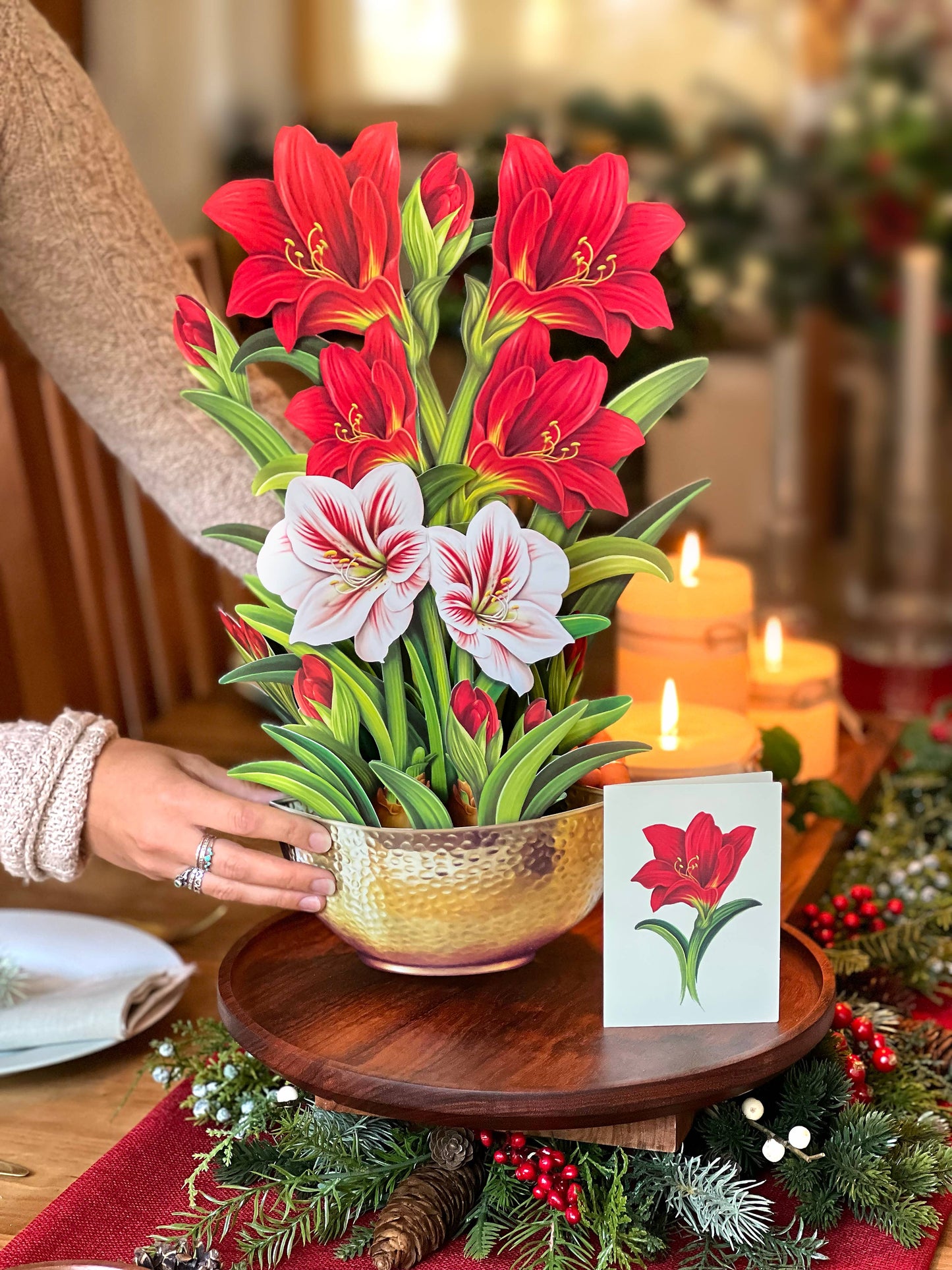 Scarlet Amaryllis (8 Pop-up Greeting Cards)