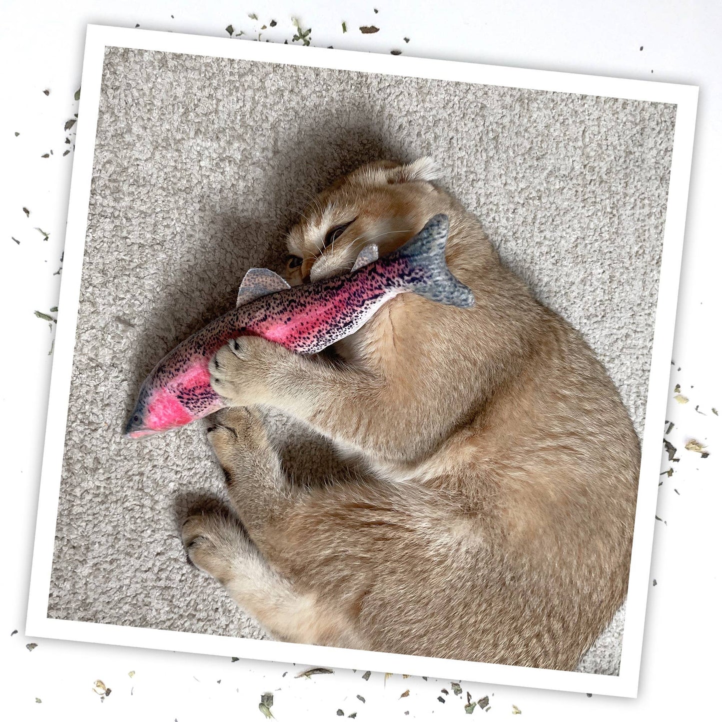 Meowijuana Get Smoked Rainbow Trout Catnip Toy – Refillable & Organic