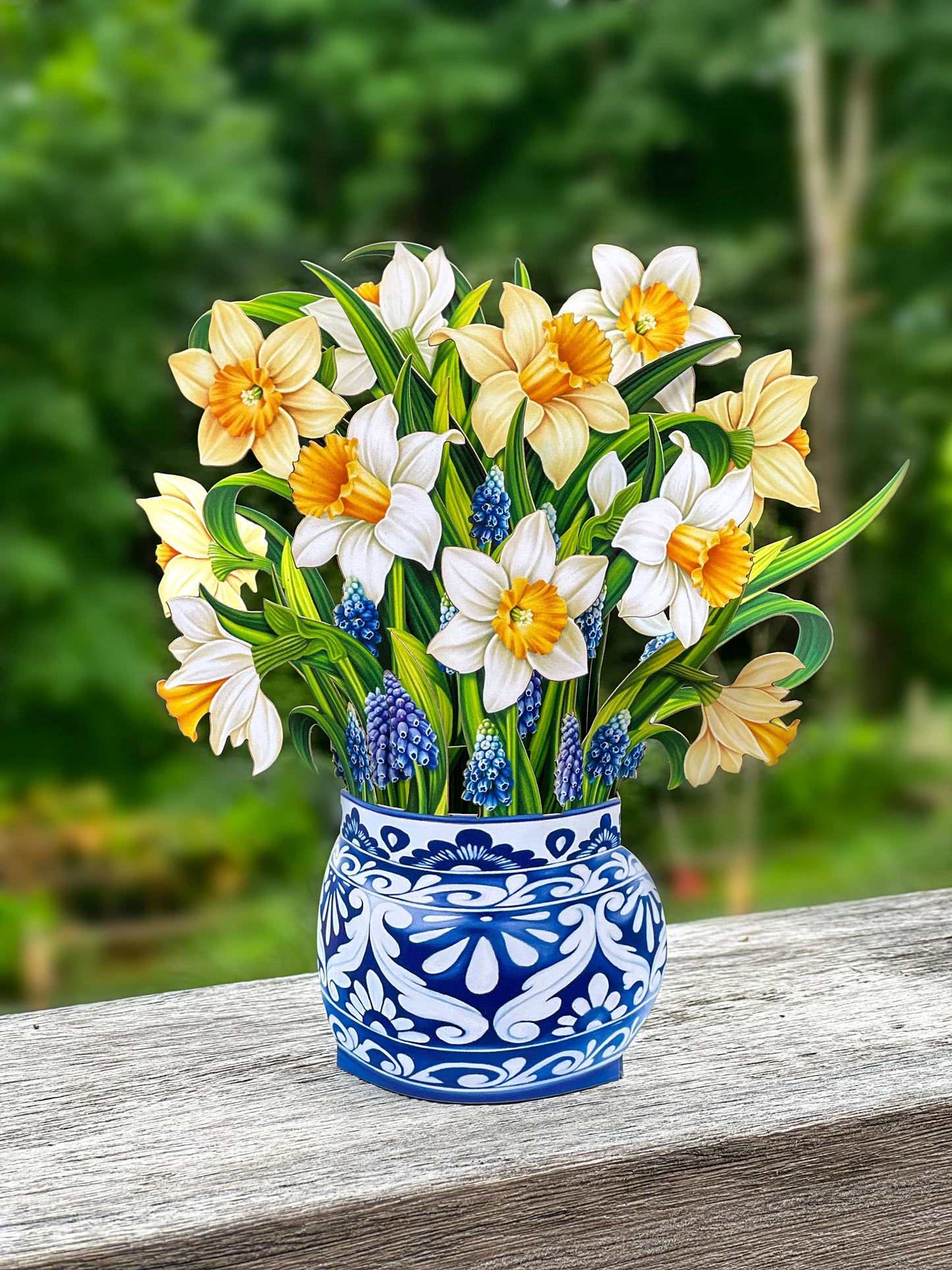 Mini English Daffodils (10 Pop-up Greeting Cards)