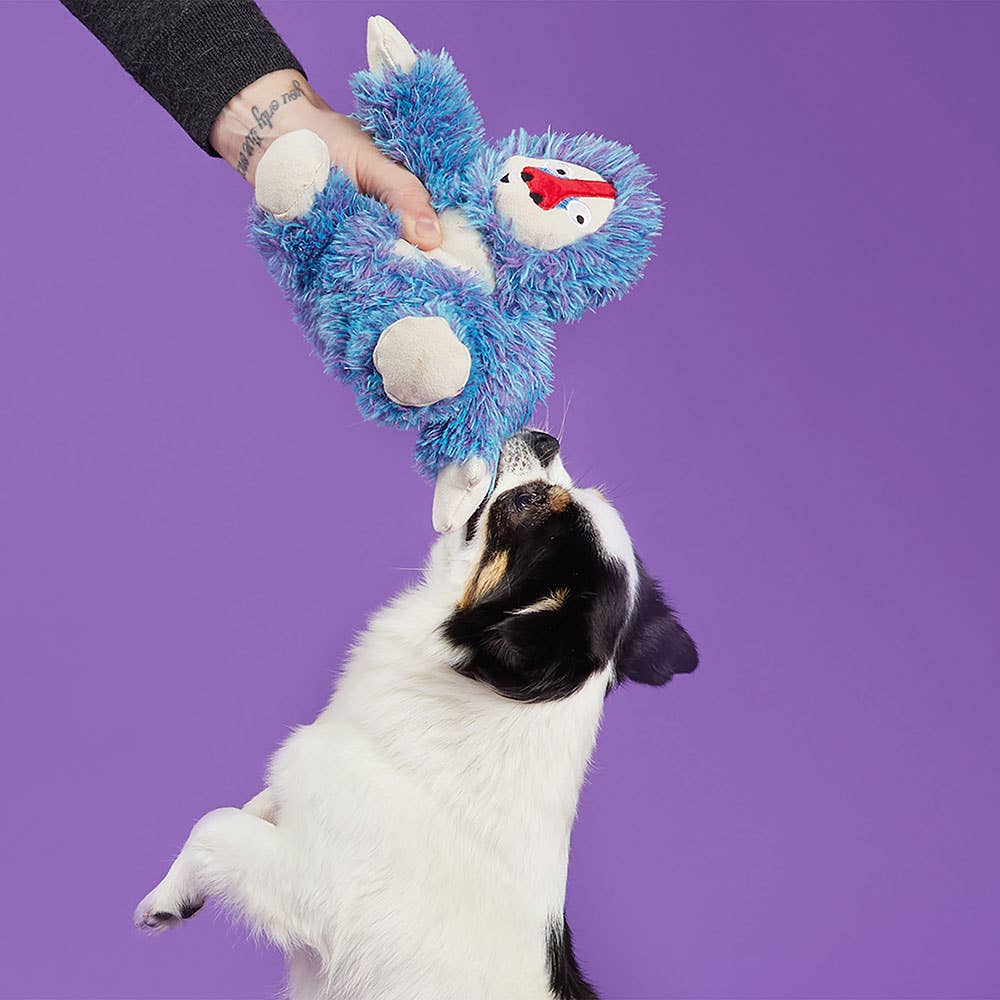 Zeke the Cheeky Monkey Dog Toy – Plush 4th of July Toy with Hidden Spiky Squeaker Ball
