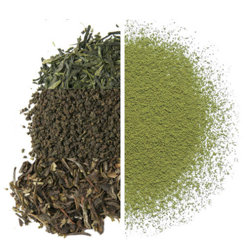 Barista Matcha Tea 1oz
