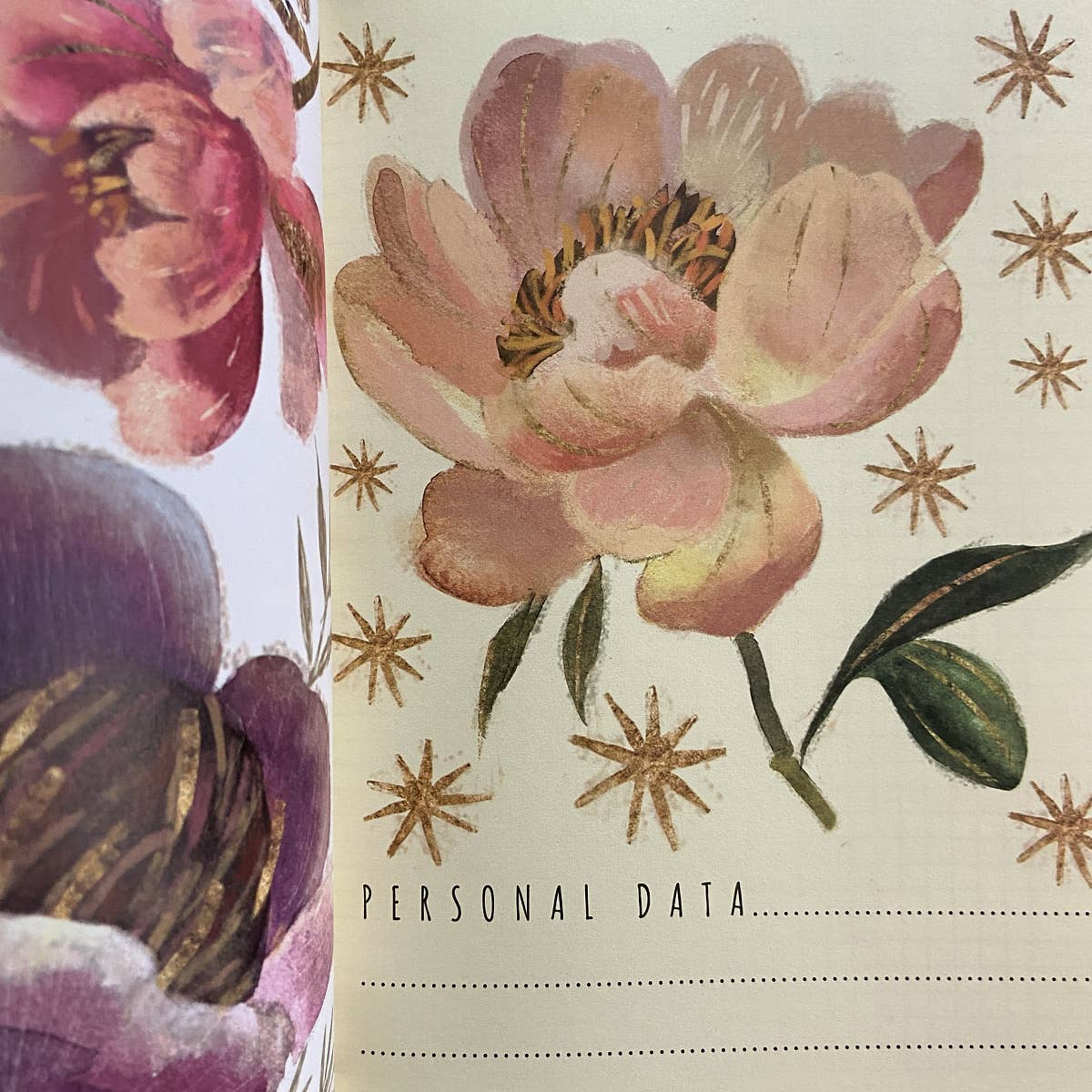 Heavenly Blossom Notebook