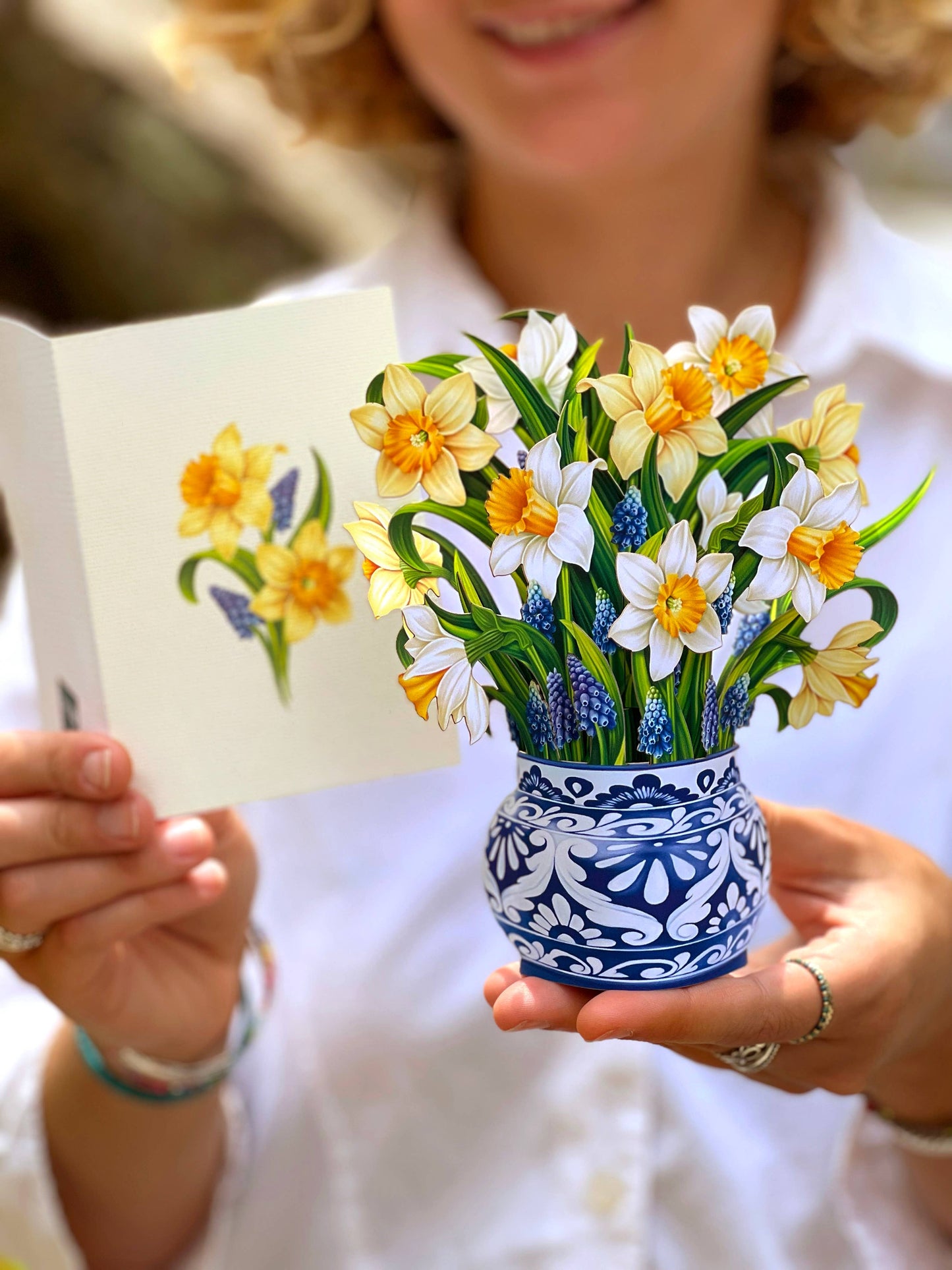 Mini English Daffodils (10 Pop-up Greeting Cards)