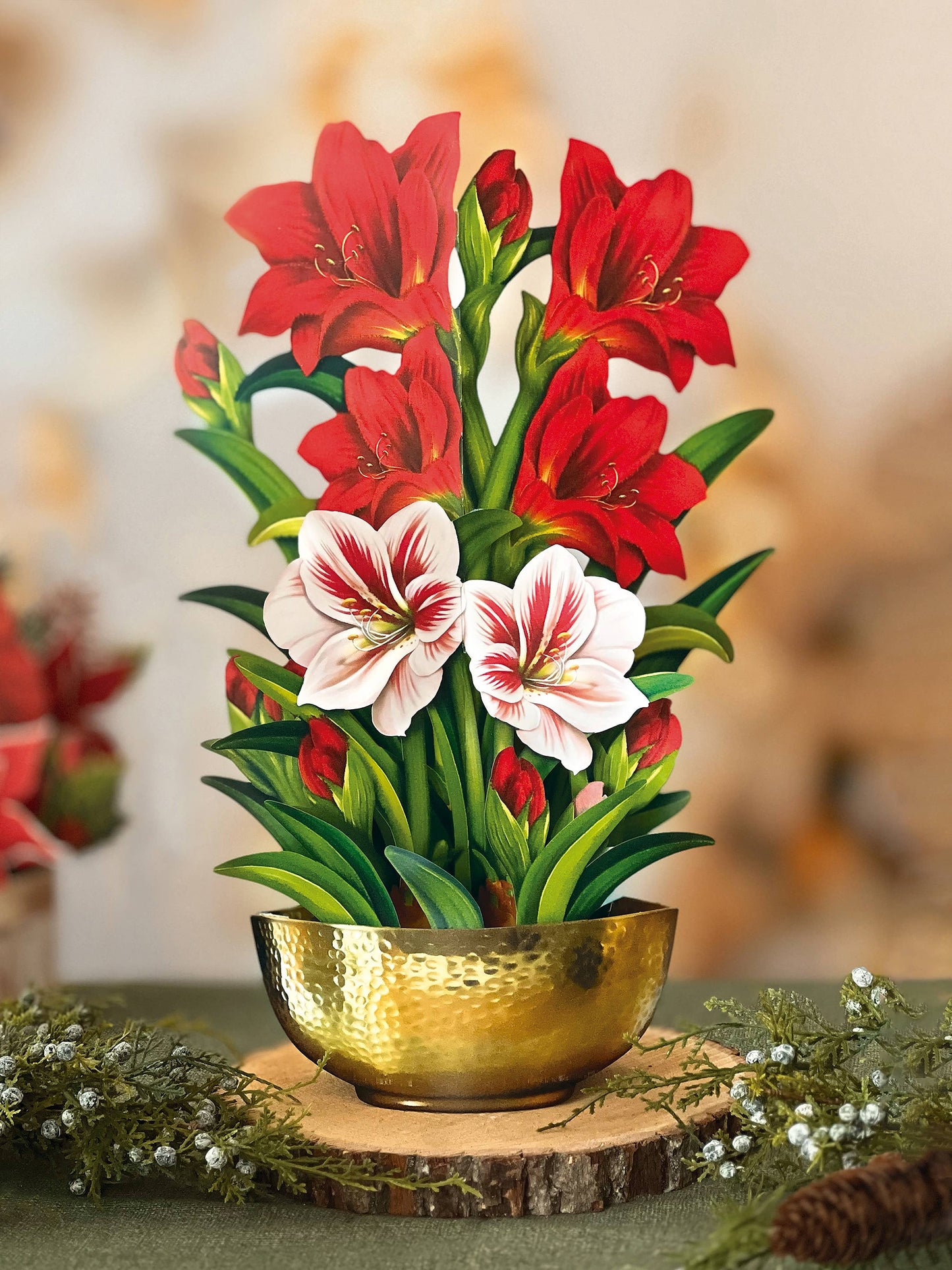 Scarlet Amaryllis (8 Pop-up Greeting Cards)