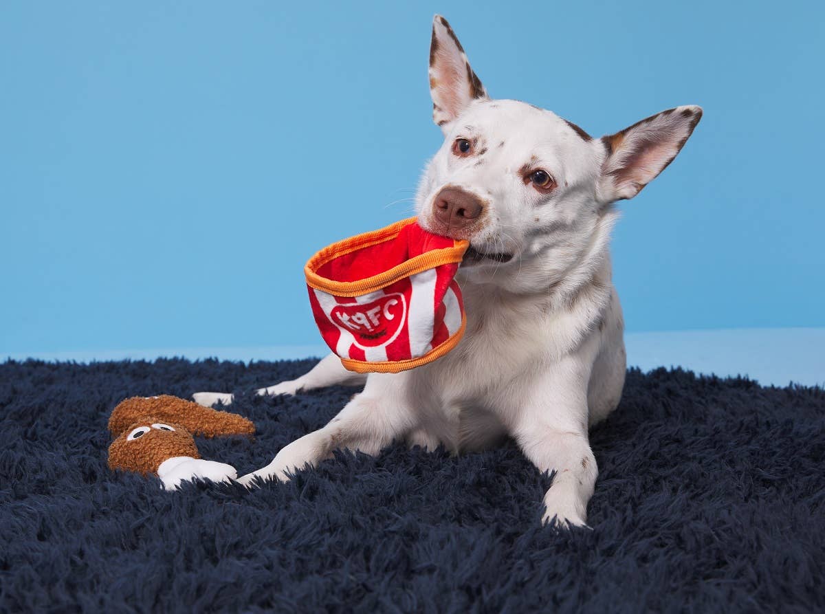 Kenpuppy Fried Chicken Dog Toy – 3-in-1 Squeaky Bucket with Crinkle & Treat Hiding