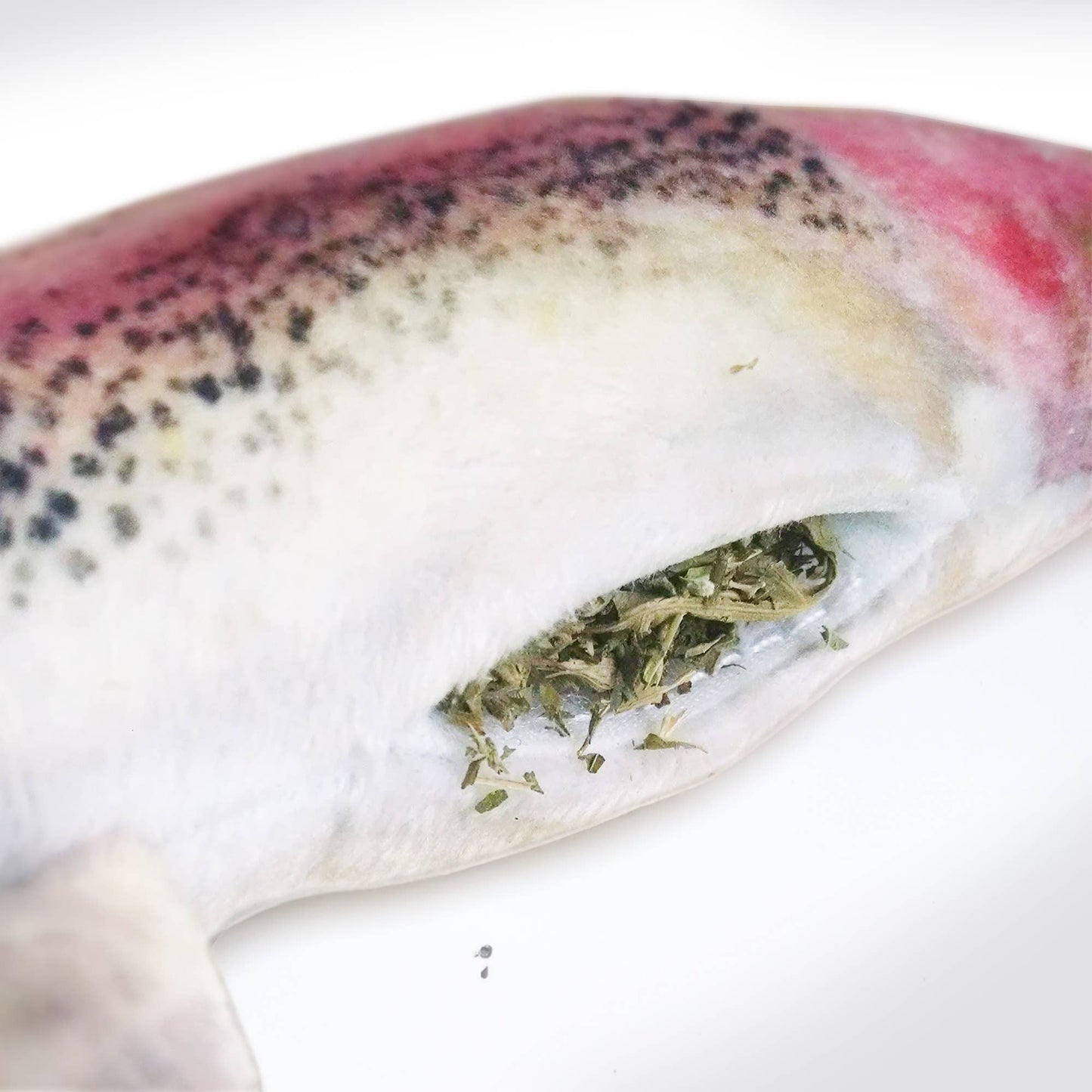 Meowijuana Get Smoked Rainbow Trout Catnip Toy – Refillable & Organic