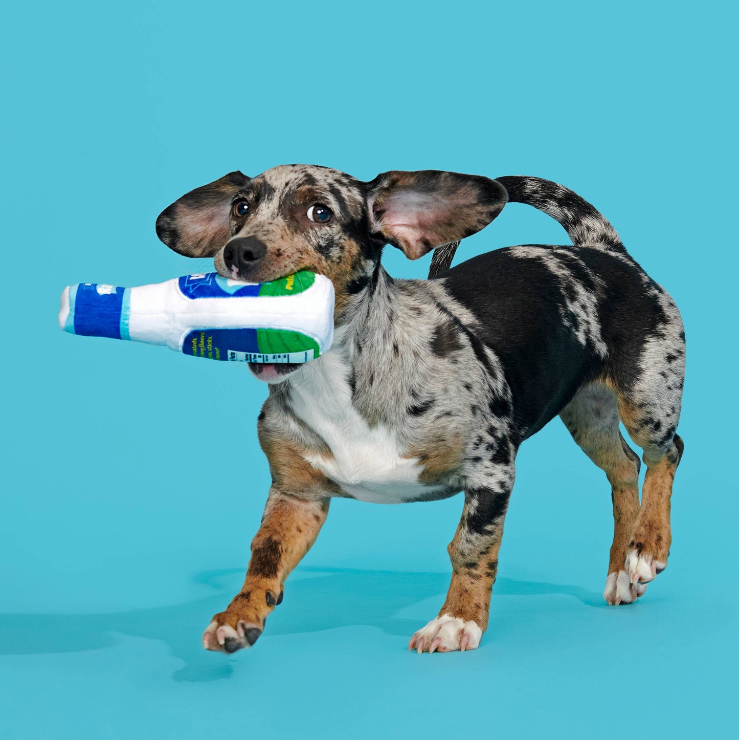 Stinky Valley Ranch Dog Toy – Squeaky Crinkle Plush for Dogs