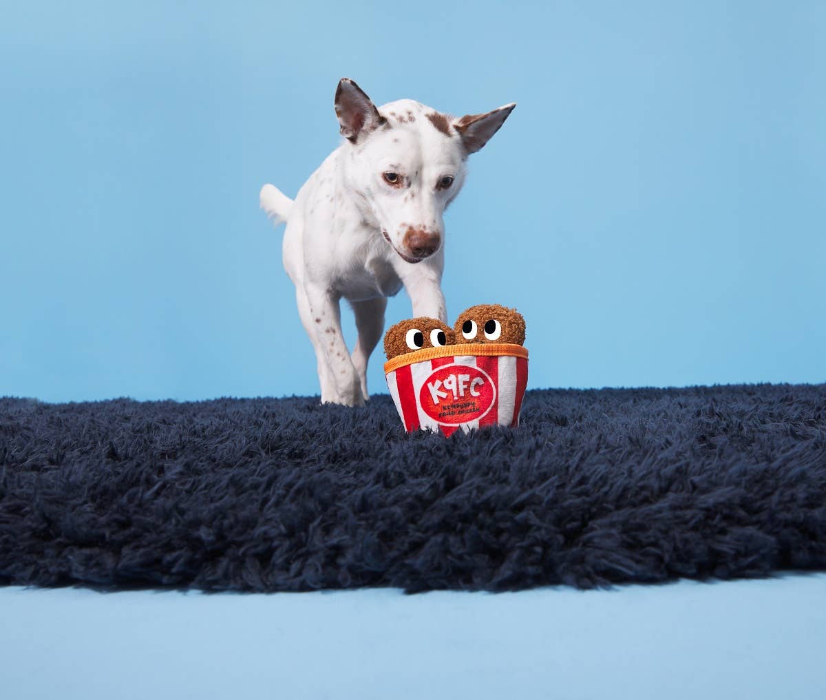 Kenpuppy Fried Chicken Dog Toy – 3-in-1 Squeaky Bucket with Crinkle & Treat Hiding