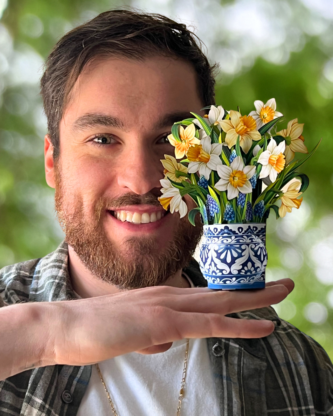 Mini English Daffodils (10 Pop-up Greeting Cards)