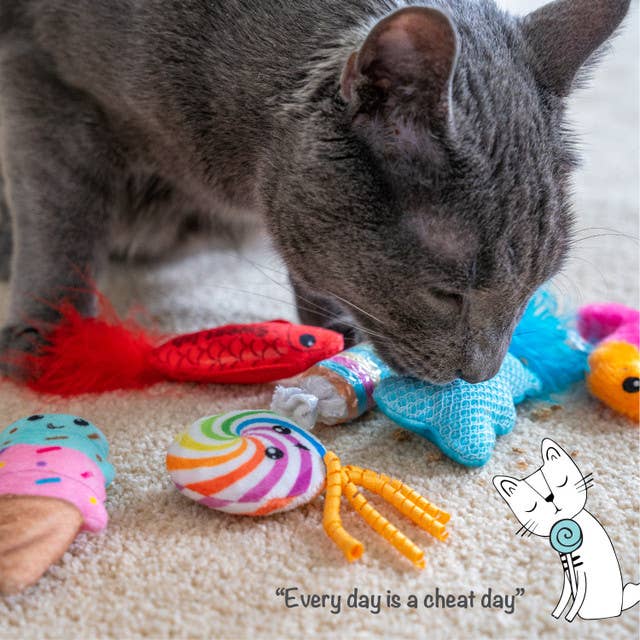 Candy 6-Pack Catnip Cat Toys – Crinkle, Feather & Easter Basket Fun