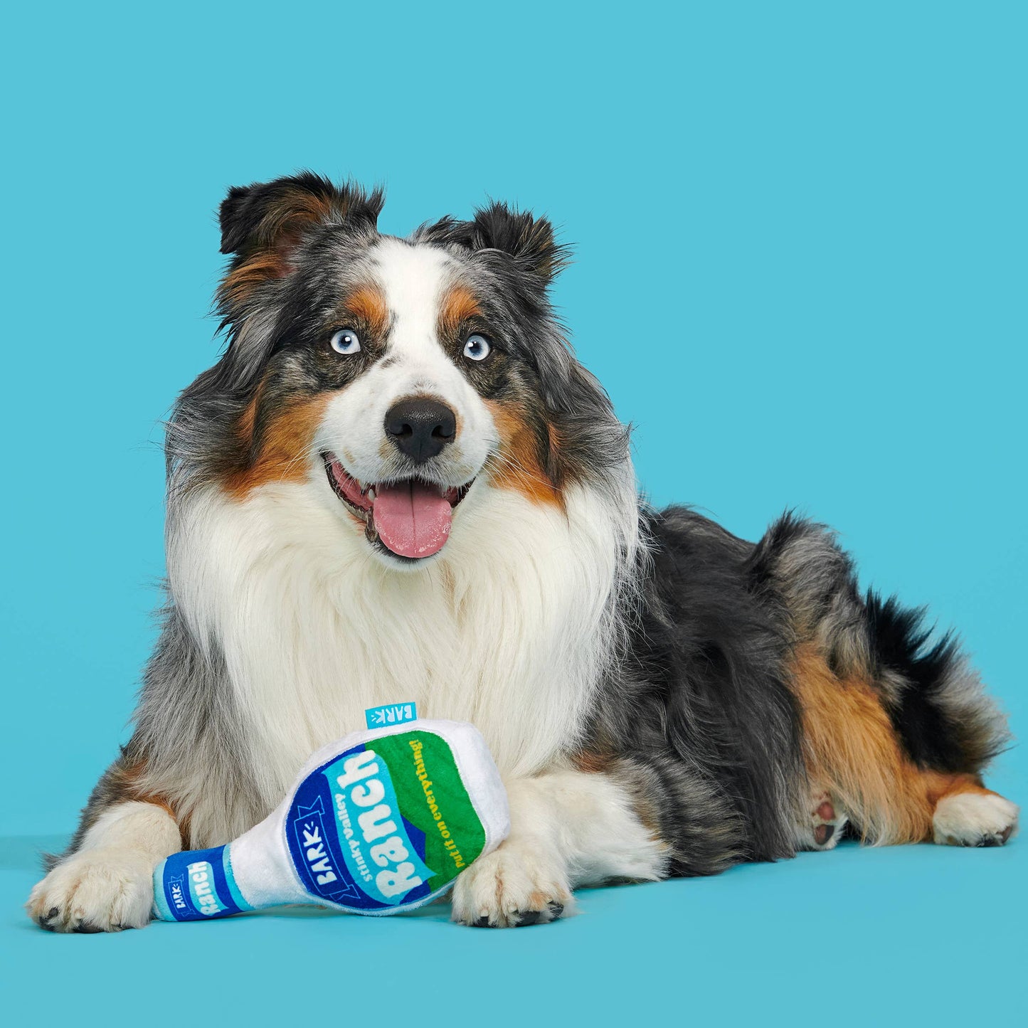Stinky Valley Ranch Dog Toy – Squeaky Crinkle Plush for Dogs
