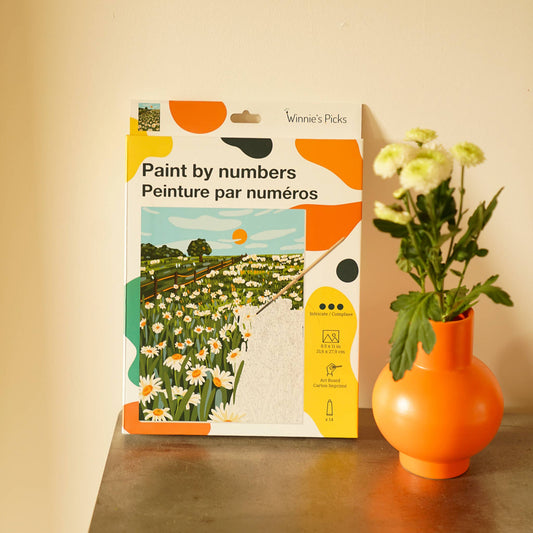 Blooming Daisies – Wildflower Meadow Paint by Number Kit