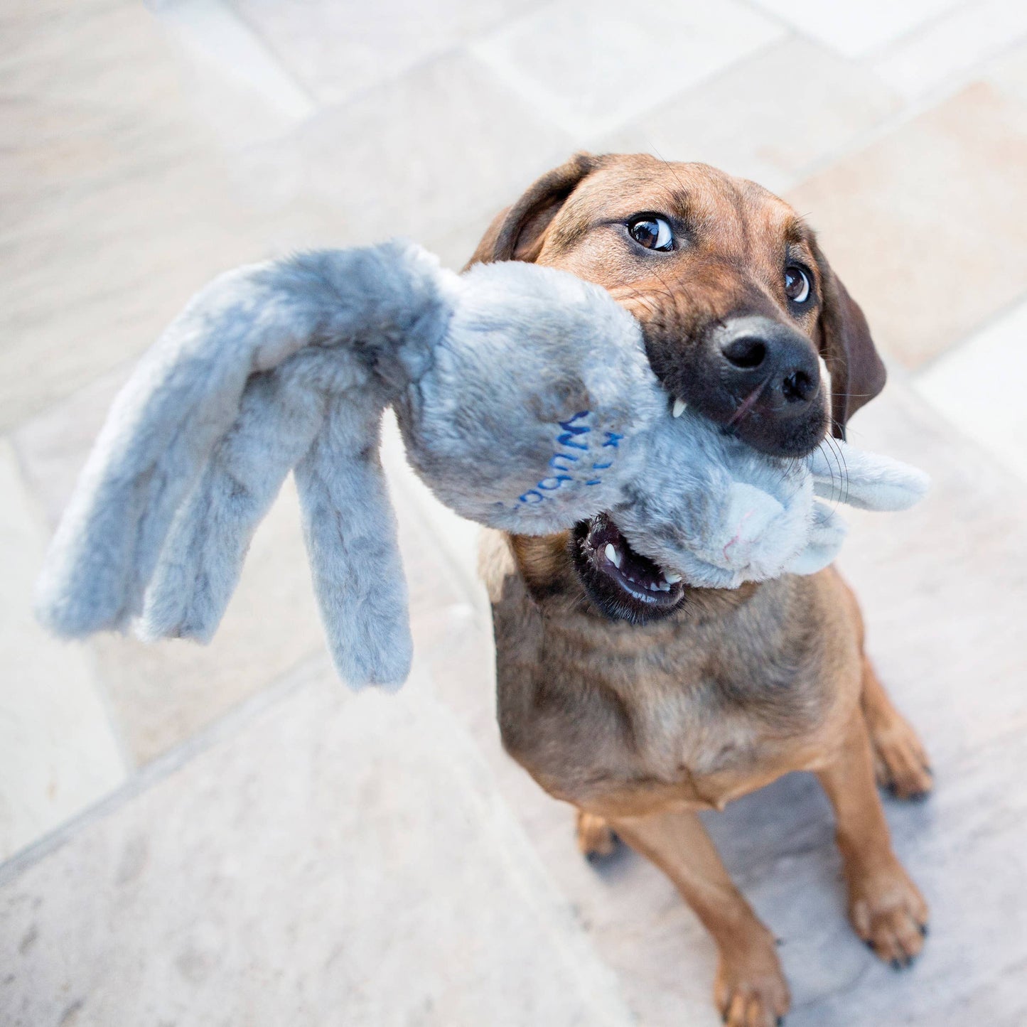 KONG Wubba Friends Dog Toy – Soft Plush Squeaky Tug & Fetch Toy