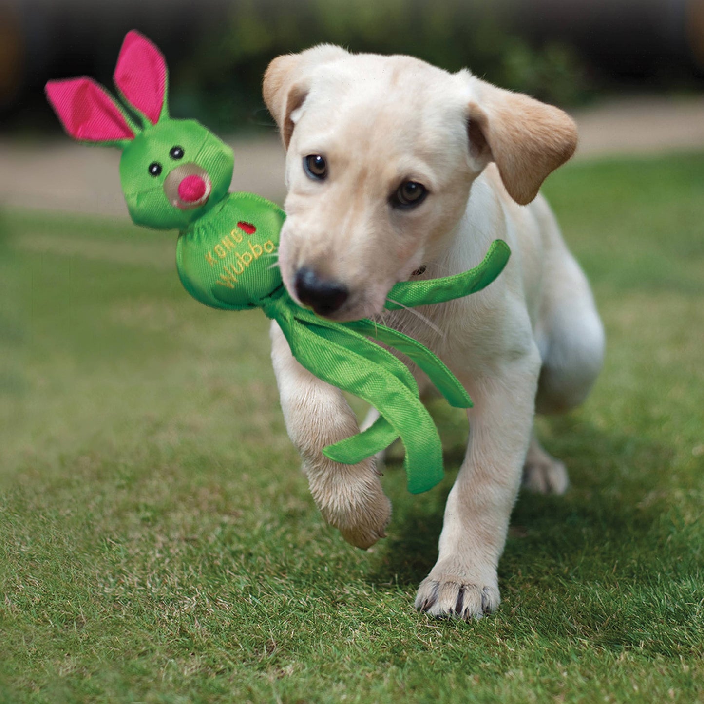 KONG Wubba Ballistic Friends – Durable Squeaky Tug & Fetch Dog Toy