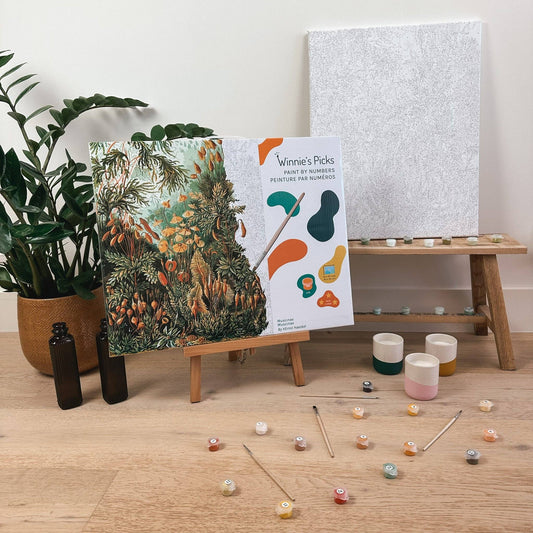 Muscinae by Ernst Haeckel – Nature & Science Paint by Number Kit