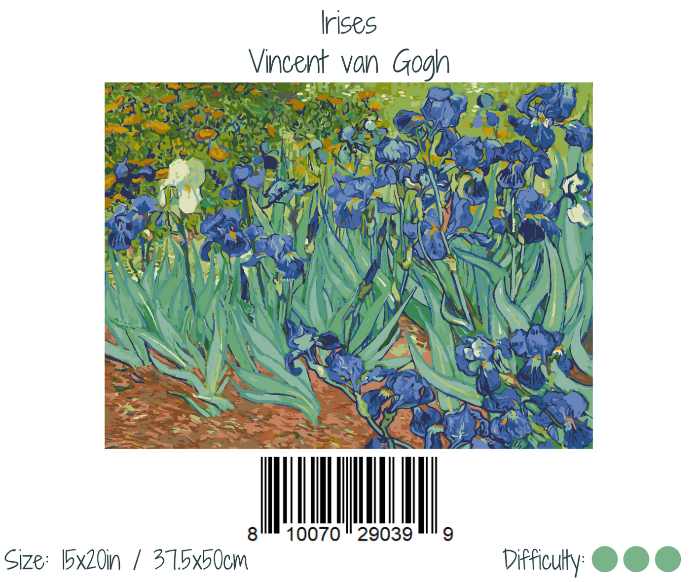Irises by Vincent van Gogh – Floral Paint by Number Kit